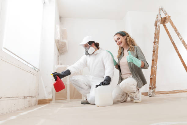 Trusted Mallory, WV Mold Removal Experts