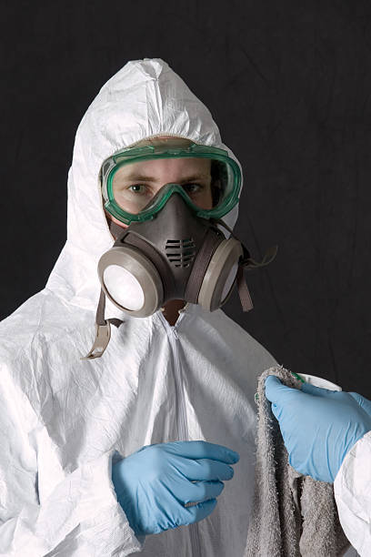 Best Attic Mold Removal  in Mallory, WV